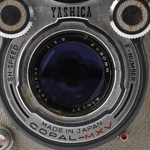 Yashica D / Yashinon 80mm f/3.5