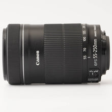 画像をギャラリービューアに読み込む, キヤノン Canon ZOOM LENS EF-S 55-250mm F4-5.6 IS STM
