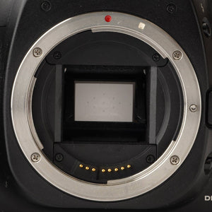 キヤノン Canon EOS 20D / EF 35-80mm F4-5.6 USM デジタル一眼レフカメラ