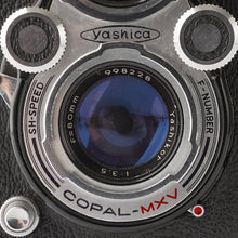 Load image into Gallery viewer, Yashica YashicaFlex MODEL B
