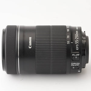 Canon EF-S 55-250mm f/4-5.6 IS STM