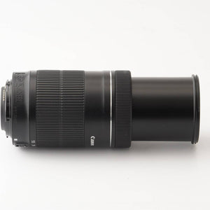 Canon EF-S 55-250mm f/4-5.6 IS STM