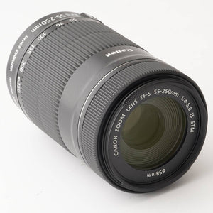 Canon EF-S 55-250mm f/4-5.6 IS STM
