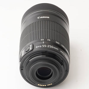 Canon EF-S 55-250mm f/4-5.6 IS STM