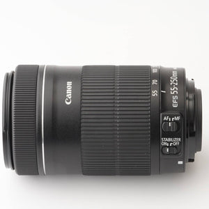 Canon EF-S 55-250mm f/4-5.6 IS STM