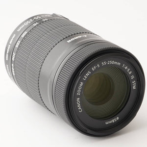 Canon EF-S 55-250mm f/4-5.6 IS STM