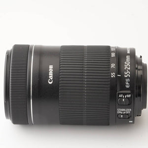 Canon EF-S 55-250mm f/4-5.6 IS STM