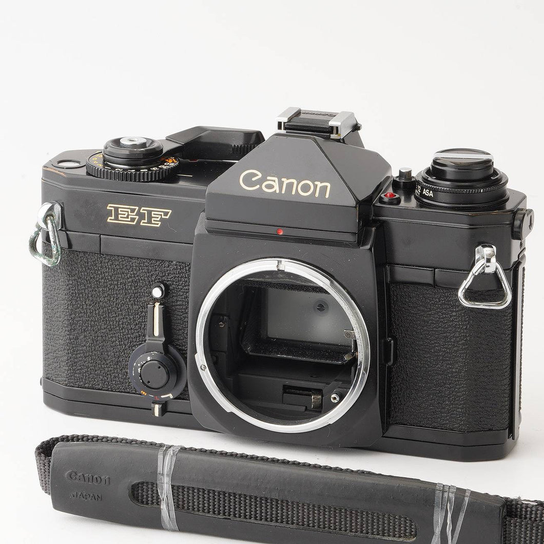 Canon EF body