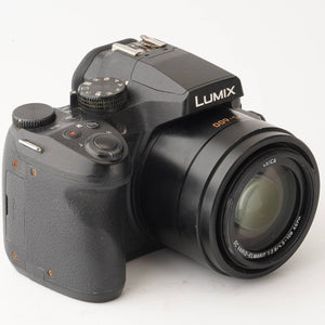 パナソニック Panasonic LUMIX DMC-FZ300 / Leica DC Vario-Elmarit 4.5-108mm F2.8-4.5 ASPH.