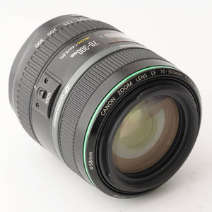 Canon EF 70-300mm f/4-5.6 DO IS USM