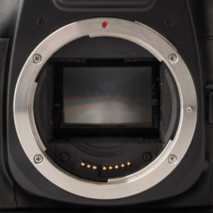 Canon EOS 7 Body / Battery Pack BP-300 / EF 75-300mm f/4-5.6 II