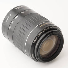 画像をギャラリービューアに読み込む, キヤノン Canon EF 55-200mm F4.5-5.6 II USM
