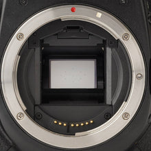 画像をギャラリービューアに読み込む, キヤノン Canon EOS 40D ボディ デジタル一眼レフカメラ
