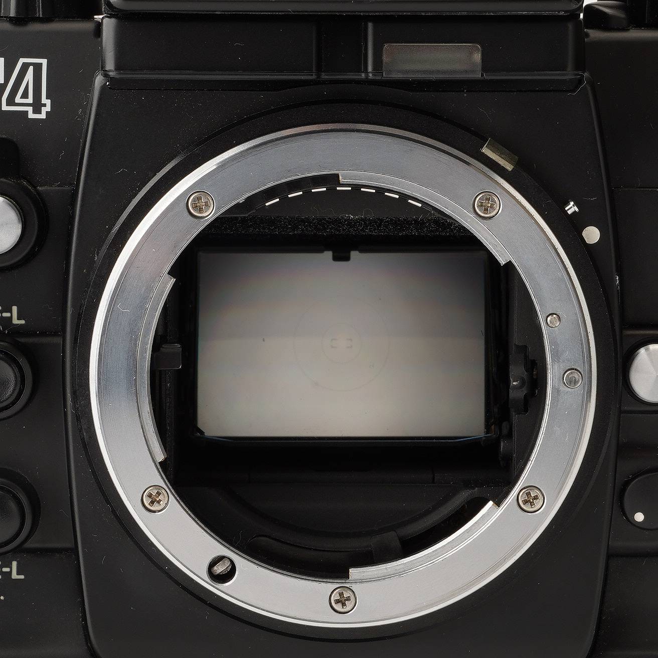 美品☆ Nikon F4S MB-21 動作確認済 ボディ 8084 ニコン Nikon F4S ボディ / バッテリーパック MB-21 – Natural