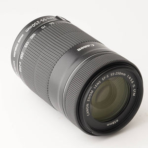 Canon EF-S 55-250mm f/4-5.6 IS STM