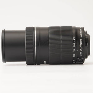 Canon EF-S 55-250mm f/4-5.6 IS STM