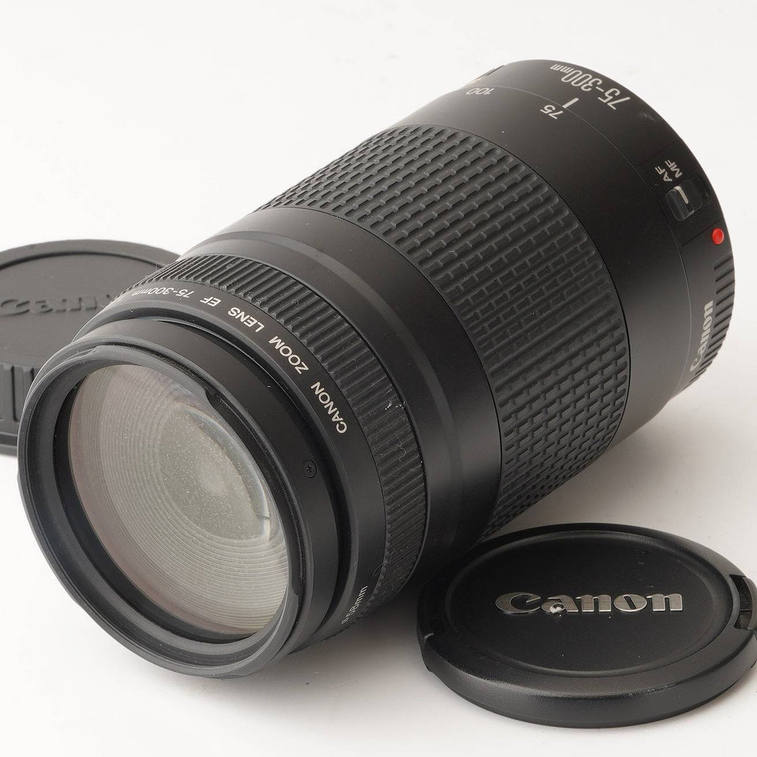 Canon EF 75-300mm f/4-5.6 II