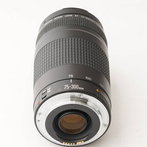 Canon EF 75-300mm f/4-5.6 II