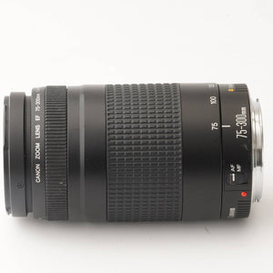 Canon EF 75-300mm f/4-5.6 II