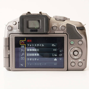 パナソニック Panasonic LUMIX DMC-G6 / G Vario 45-200mm F4-5.6 MEGA O.I.S