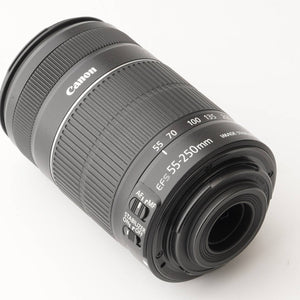 Canon EF-S 55-250mm f/4-5.6 IS II