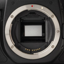 画像をギャラリービューアに読み込む, キヤノン Canon EOS 50D / EF-S 18-200mm F3.5-5.6 IS
