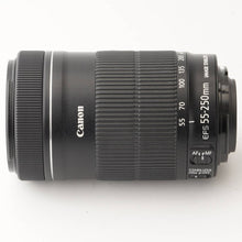 画像をギャラリービューアに読み込む, キヤノン Canon EF-S 55-250mm F4-5.6 IS STM

