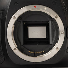 画像をギャラリービューアに読み込む, キヤノン Canon EOS 30D / ZOOM EF 28-80mm F3.5-5.6 II
