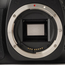 画像をギャラリービューアに読み込む, キヤノン Canon EOS 30D /EF-S 18-55mm f/3.5-5.6 II USM
