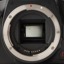 画像をギャラリービューアに読み込む, キヤノン Canon EOS Kiss X2 / EF-S 18-55mm F3.5-5.6 IS
