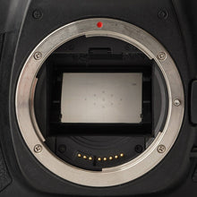 画像をギャラリービューアに読み込む, キヤノン Canon EOS 5D Mark II ボディ デジタル一眼レフ
