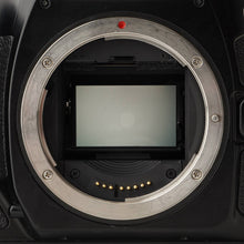 画像をギャラリービューアに読み込む, キヤノン Canon EOS 1V 35mm 一眼レフフィルムカメラ
