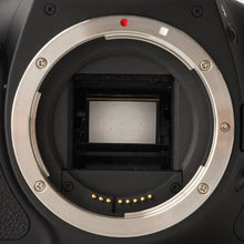 Load image into Gallery viewer, Canon EOS Kiss X5 / EF-S 18-55mm F3.5-5.6 IS II
