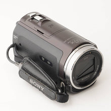 画像をギャラリービューアに読み込む, ソニー Sony ハンディカム Handycam HDR-CX535 ブラウン 60x 光学ズーム
