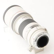 画像をギャラリービューアに読み込む, キヤノン Canon EF 300mm F4 L USM
