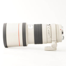 画像をギャラリービューアに読み込む, キヤノン Canon EF 300mm F4 L USM
