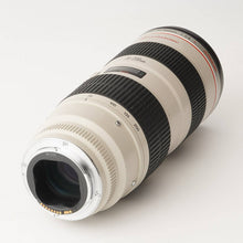 画像をギャラリービューアに読み込む, キヤノン Canon EF 70-200mm F2.8 L USM
