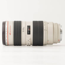 画像をギャラリービューアに読み込む, キヤノン Canon EF 70-200mm F2.8 L USM
