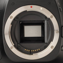 画像をギャラリービューアに読み込む, キヤノン Canon EOS 30D / LENS EF-S 17-85mm F4-5.6 IS USM
