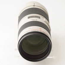 画像をギャラリービューアに読み込む, キヤノン Canon EF 70-200mm F2.8 L USM
