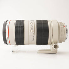 画像をギャラリービューアに読み込む, キヤノン Canon EF 70-200mm F2.8 L USM
