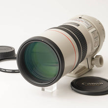 画像をギャラリービューアに読み込む, キヤノン Canon EF 300mm F4 L IS USM
