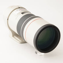 画像をギャラリービューアに読み込む, キヤノン Canon EF 300mm F4 L IS USM
