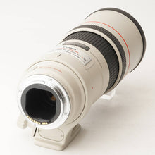 画像をギャラリービューアに読み込む, キヤノン Canon EF 300mm F4 L IS USM
