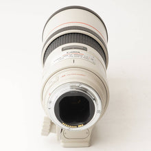 画像をギャラリービューアに読み込む, キヤノン Canon EF 300mm F4 L IS USM
