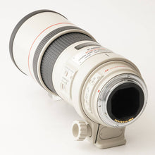 画像をギャラリービューアに読み込む, キヤノン Canon EF 300mm F4 L IS USM
