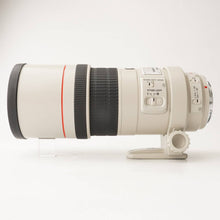 画像をギャラリービューアに読み込む, キヤノン Canon EF 300mm F4 L IS USM
