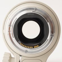 画像をギャラリービューアに読み込む, キヤノン Canon EF 300mm F4 L IS USM

