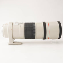 画像をギャラリービューアに読み込む, キヤノン Canon EF 300mm F4 L IS USM
