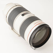 画像をギャラリービューアに読み込む, キヤノン Canon EF 70-200mm F2.8 L USM
